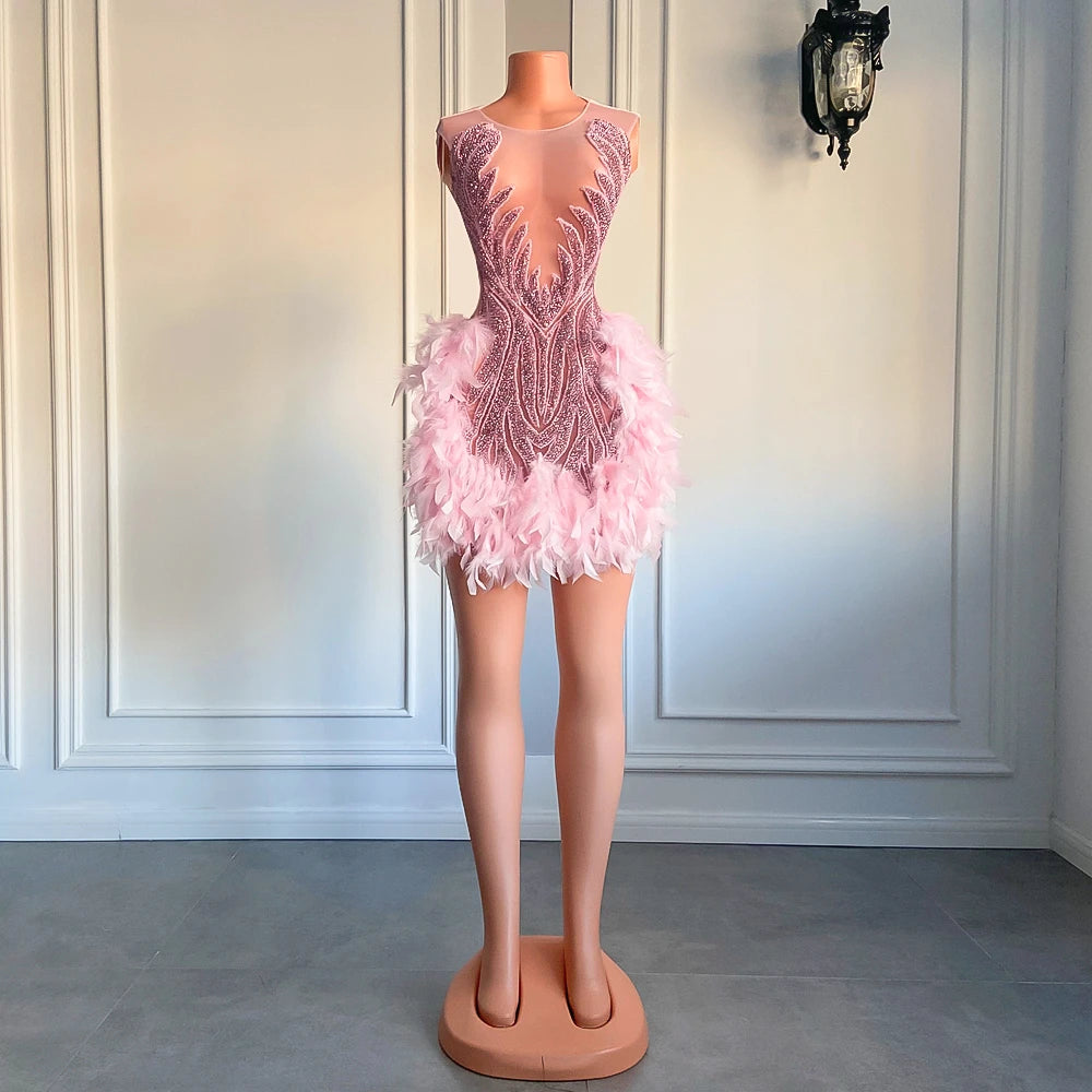 Luxury Sheer Pink Feather Dress Cute & Classy Looks Luxury Sheer Pink Feather Dress Cute & Classy Looks